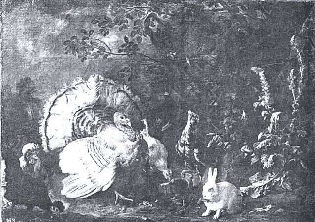 Anonimo — Tamm Franz Werner von - sec. XVIII - Tacchino, galli, galline e coniglio — insieme